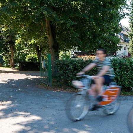 Das Wiesenhaus: Wohnen Direkt Am Rhein Кёльн Экстерьер фото